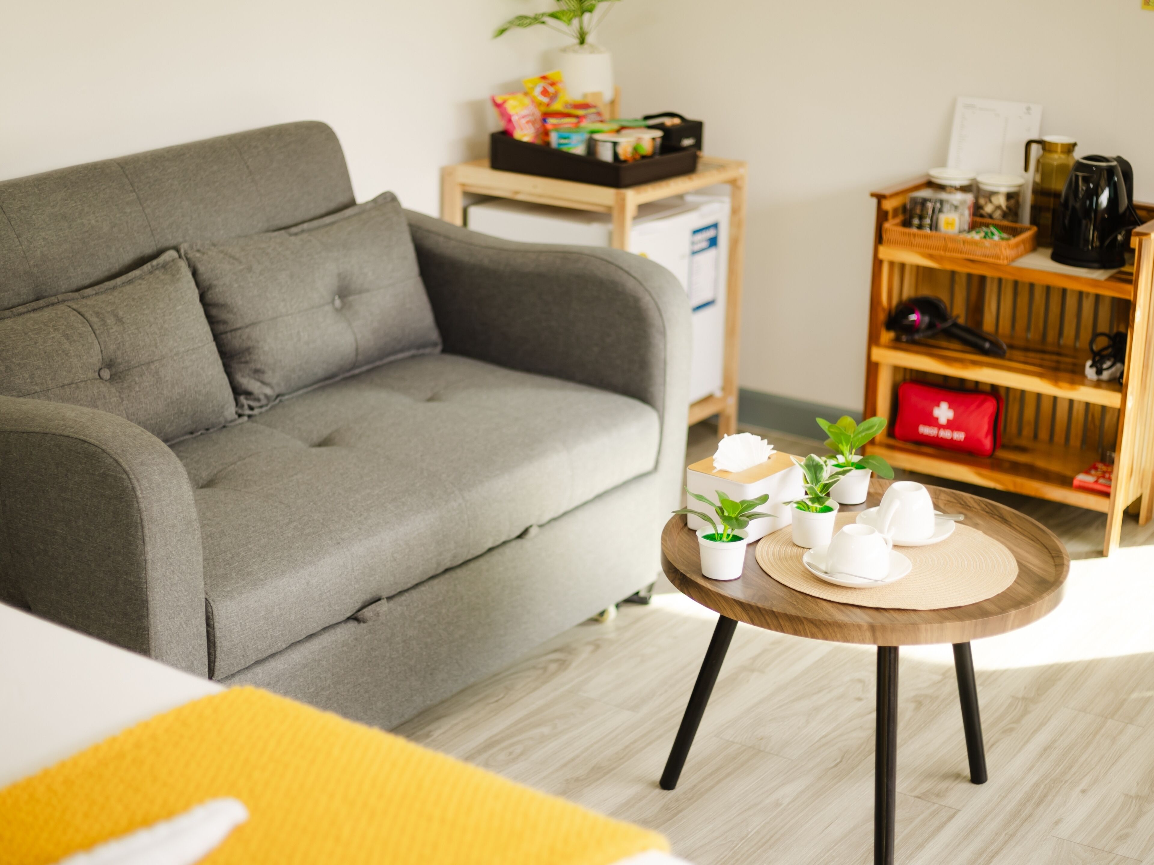 A living room with a grey sofa, a small round wooden table with potted plants, and a shelf with various items including a red first aid kit.