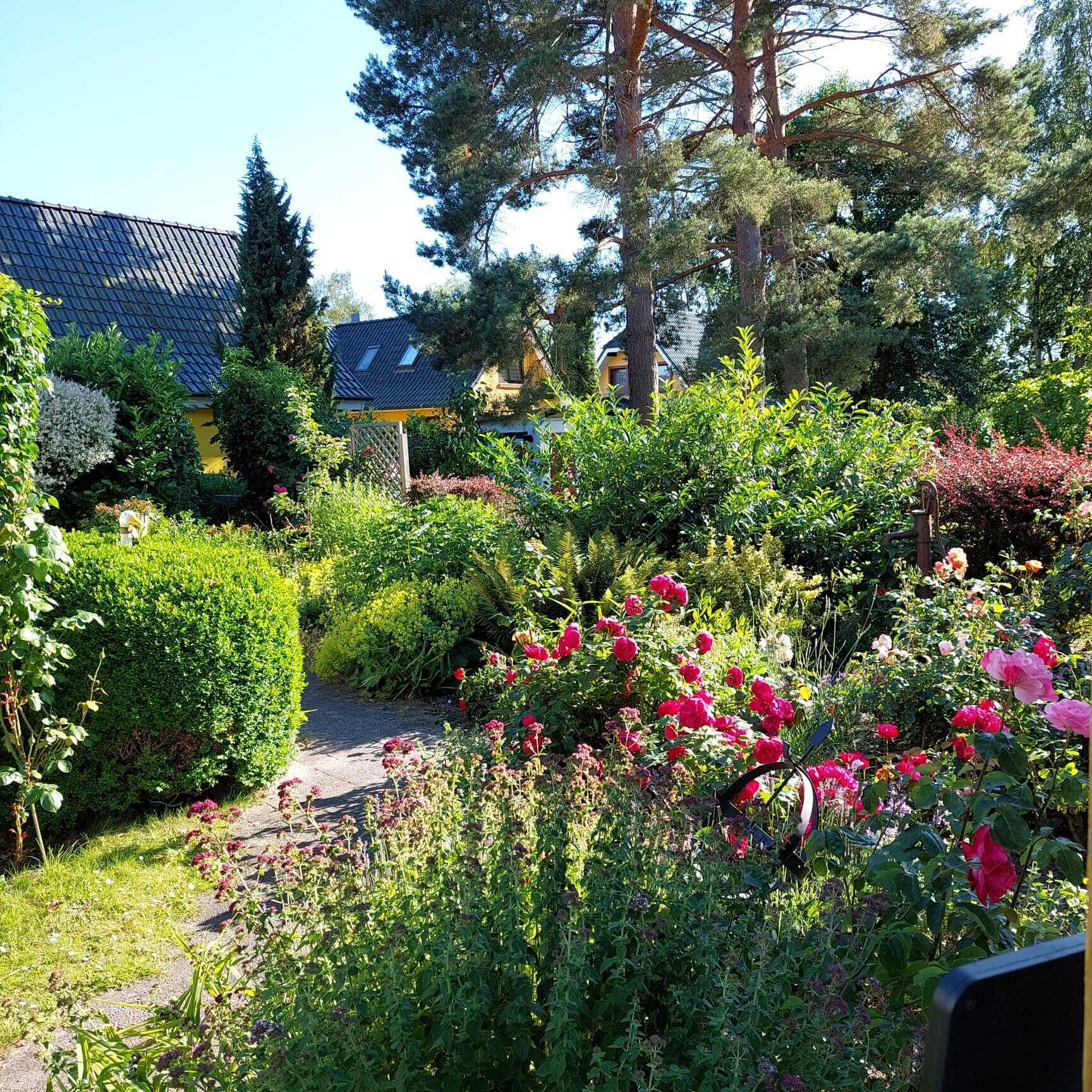 Área da propriedade