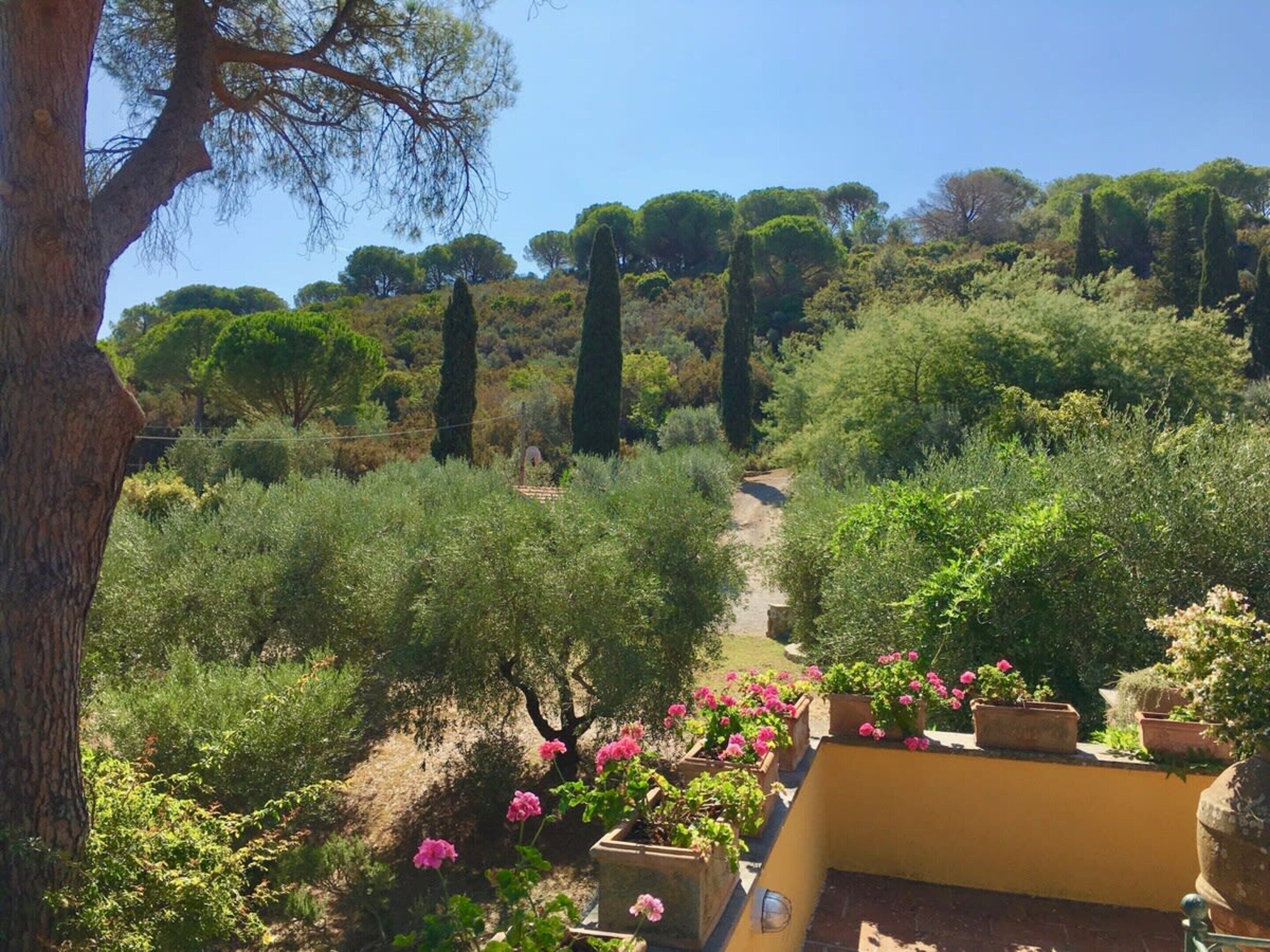 Villa | View from property