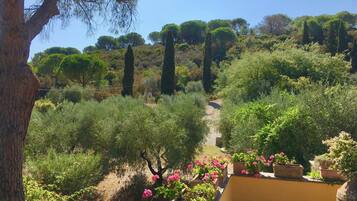 Villa | View from property