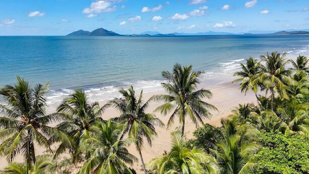 A beach with palm trees and a view of the ocean.