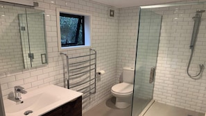 Shower, hair dryer