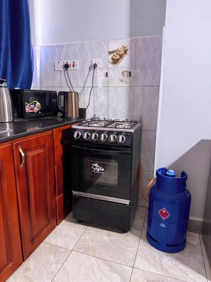 이코노미 아파트, 발코니, 시내 전망 | 전용 주방