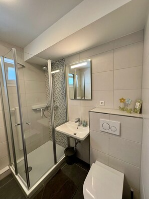 Ducha, secador de pelo y toallas