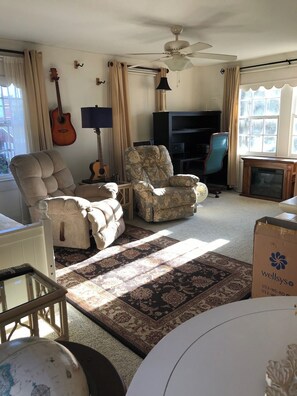 Smart TV, fireplace, DVD player, books