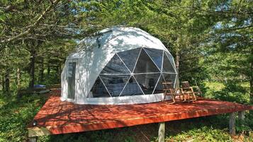 Our 24 ft Dome with amazing views over your own private pond