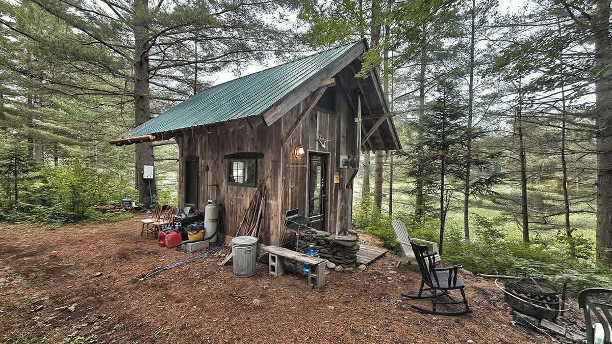 A rustic cabin with a metal roof, surrounded by dense forest.