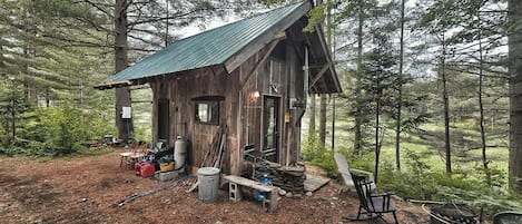 A rustic cabin with a metal roof, surrounded by dense forest.