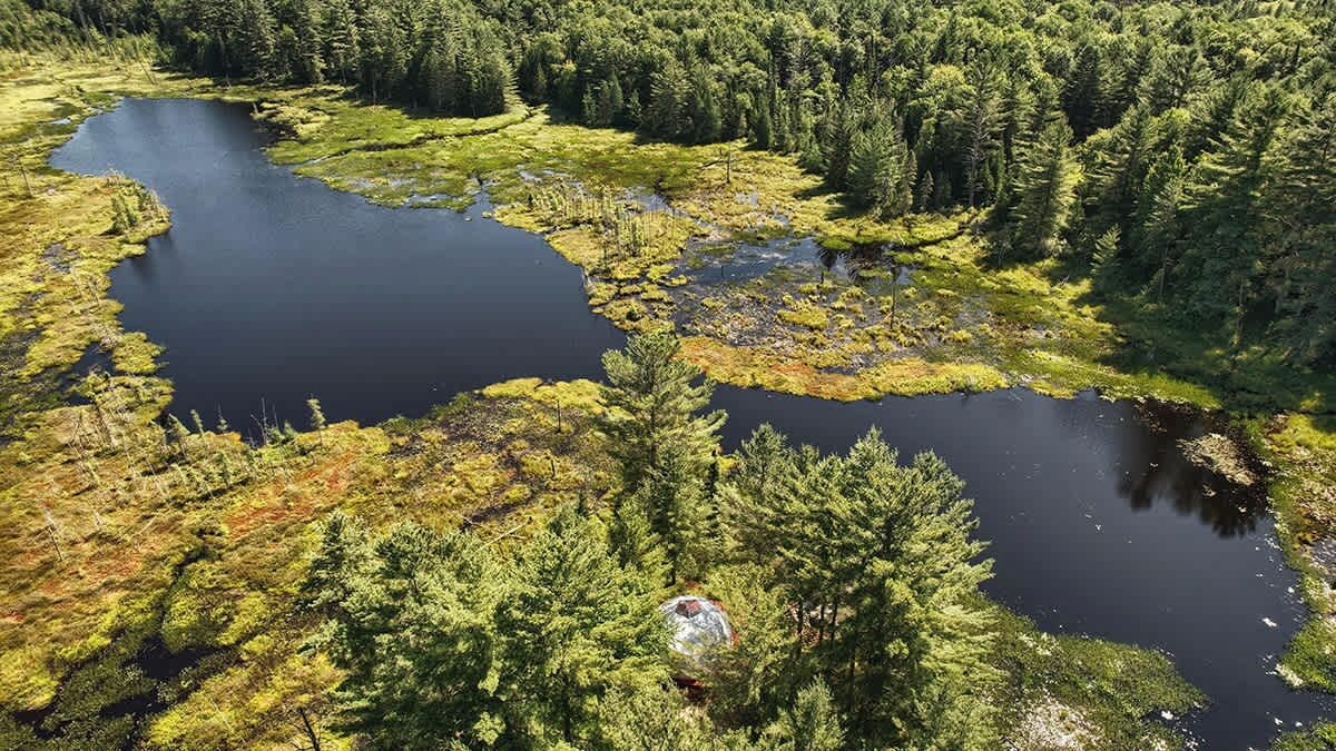 A natural landscape with a lake, dense forest, and a prominent rock formation.