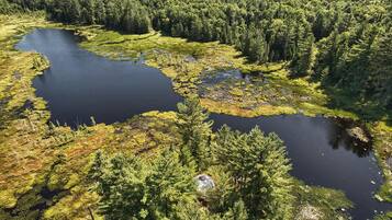 A natural landscape with a lake, dense forest, and a prominent rock formation.