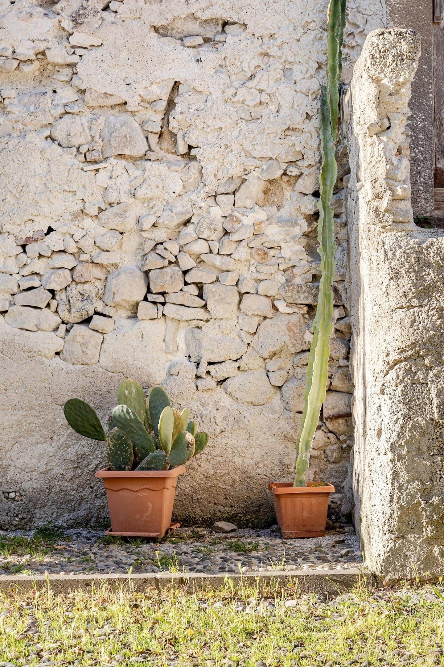 Detalle exterior