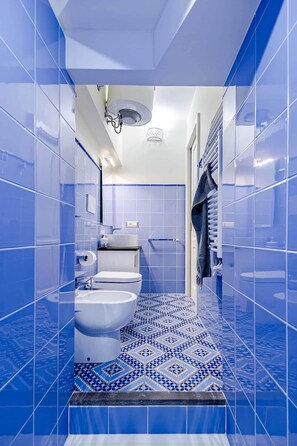 Shower, hair dryer, bidet, towels