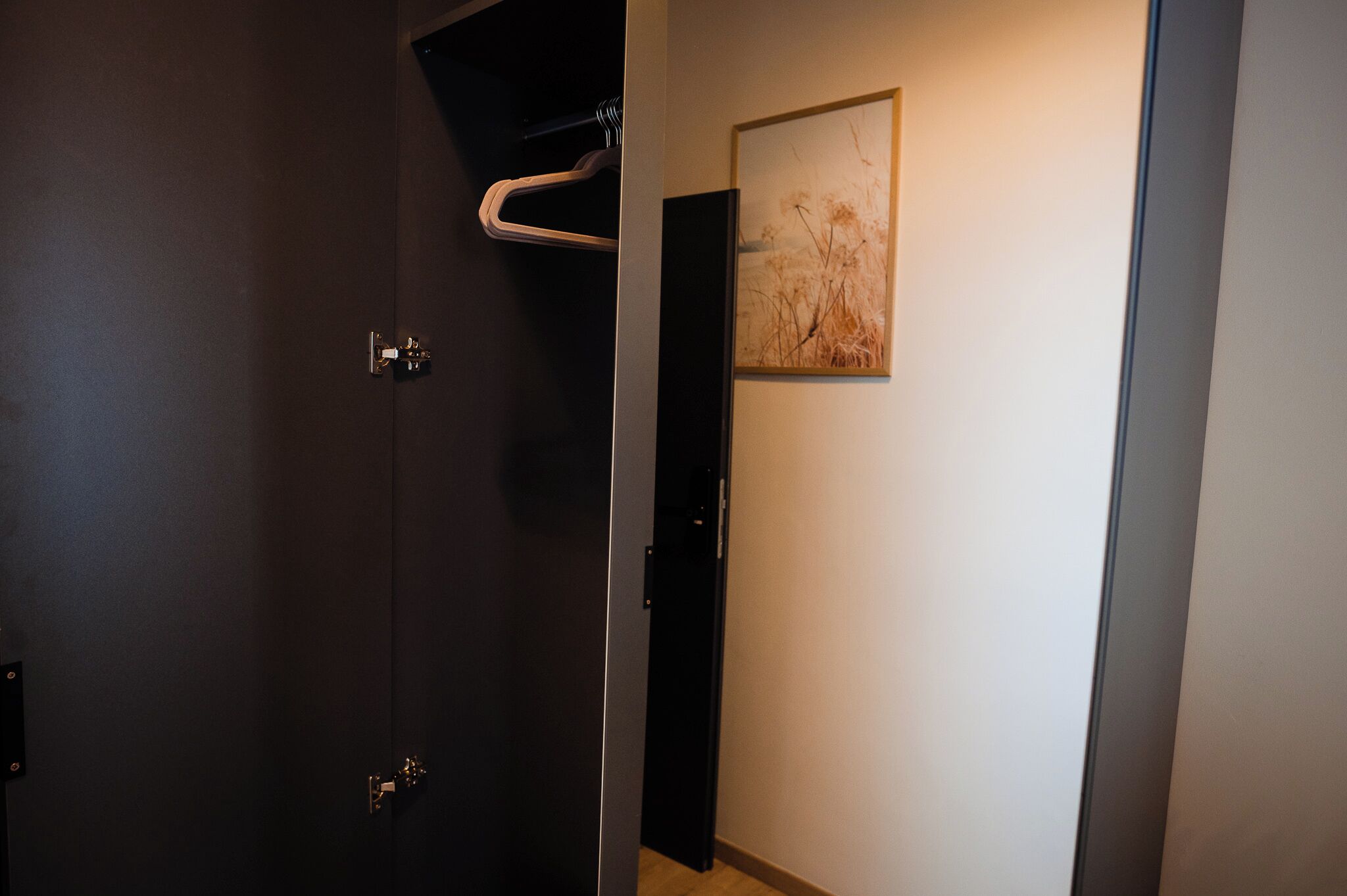 Una puerta oscura con un perchero y un cuadro en la pared.