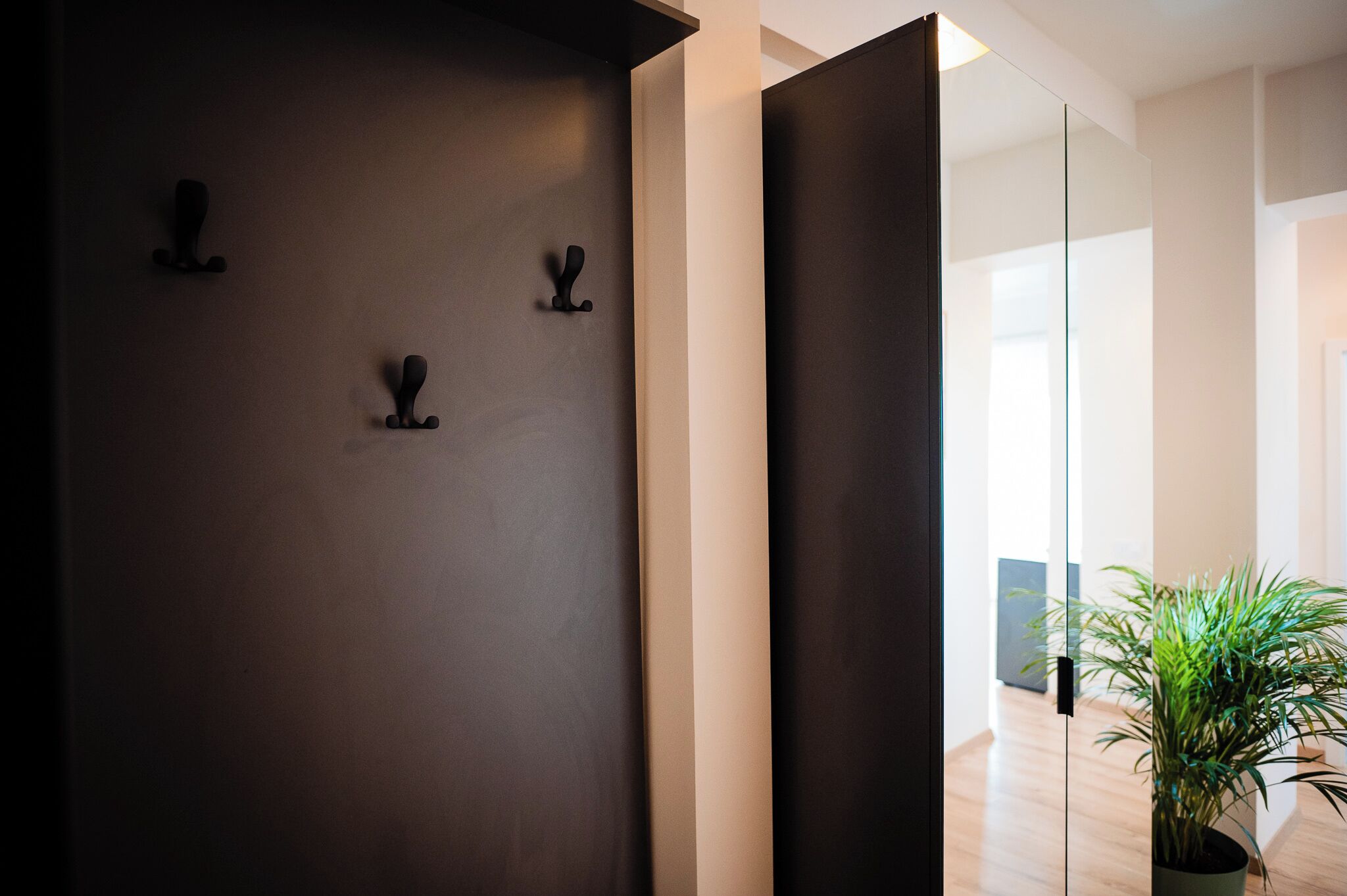 A modern interior with a dark wall, a glass partition, and a potted plant.
