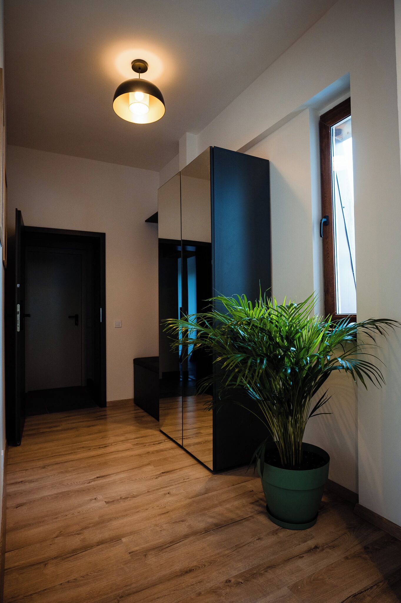 Un pasillo con piso de madera, una planta en maceta, un espejo grande y un aplique de techo.