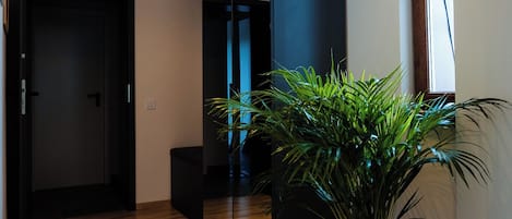 Un pasillo con piso de madera, una planta en maceta, un espejo grande y un aplique de techo.