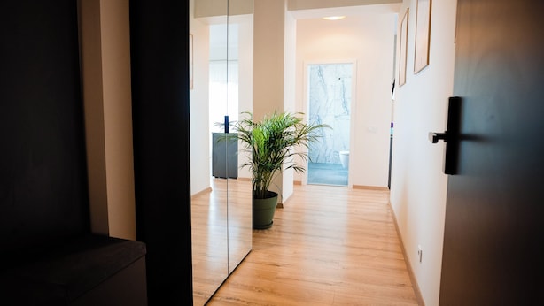 A hallway with wooden flooring, a potted plant, and a door leading to a room with a marble wall. - At Georges Stay & Fly (Otopeni)