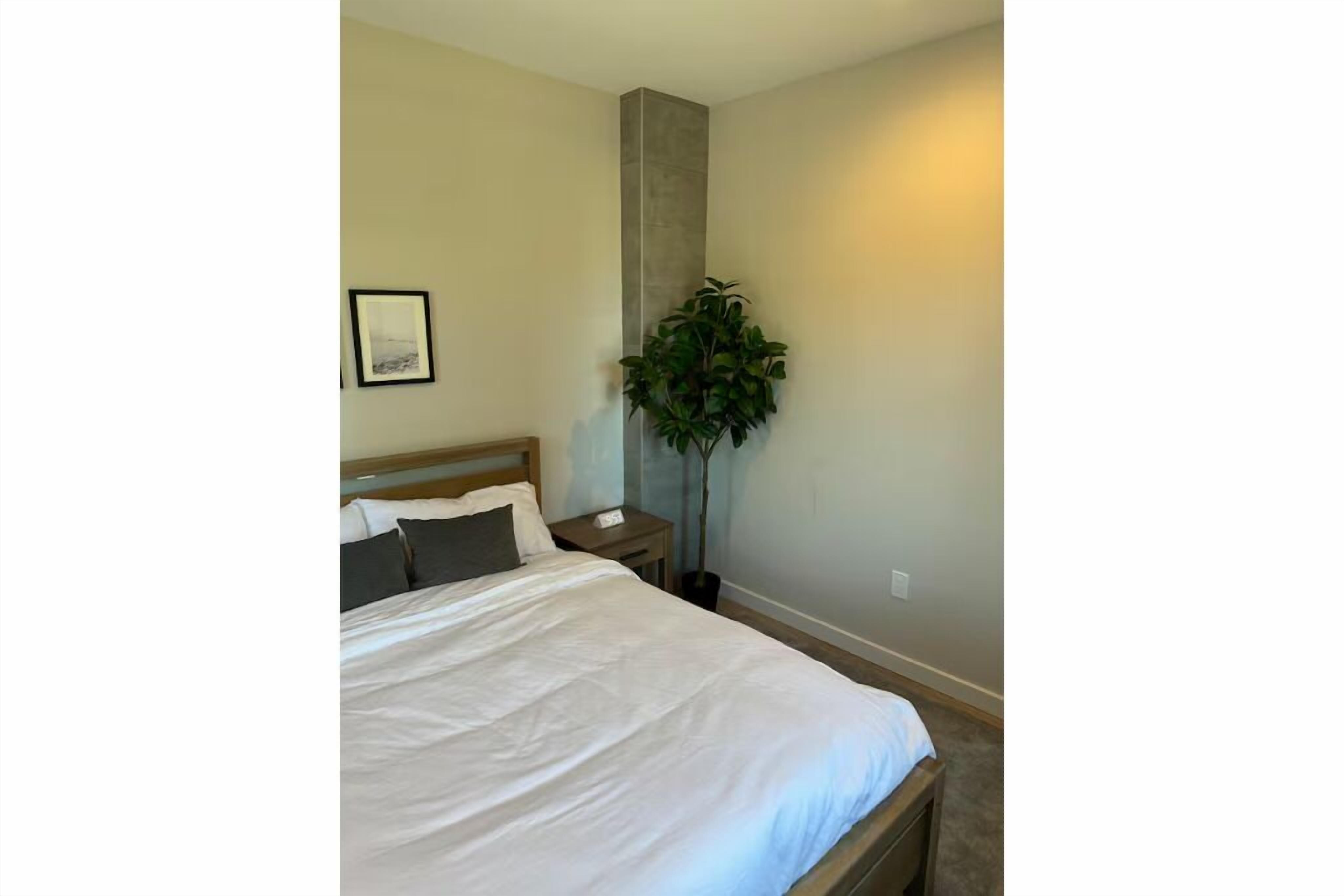 2 habitaciones, escritorio, tabla de planchar con plancha y wifi gratis 