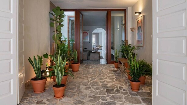 Un couloir agrémenté de plantes en pot, doté d’un sol en pierre et offrant une vue sur un espace de vie comprenant un canapé et une table.