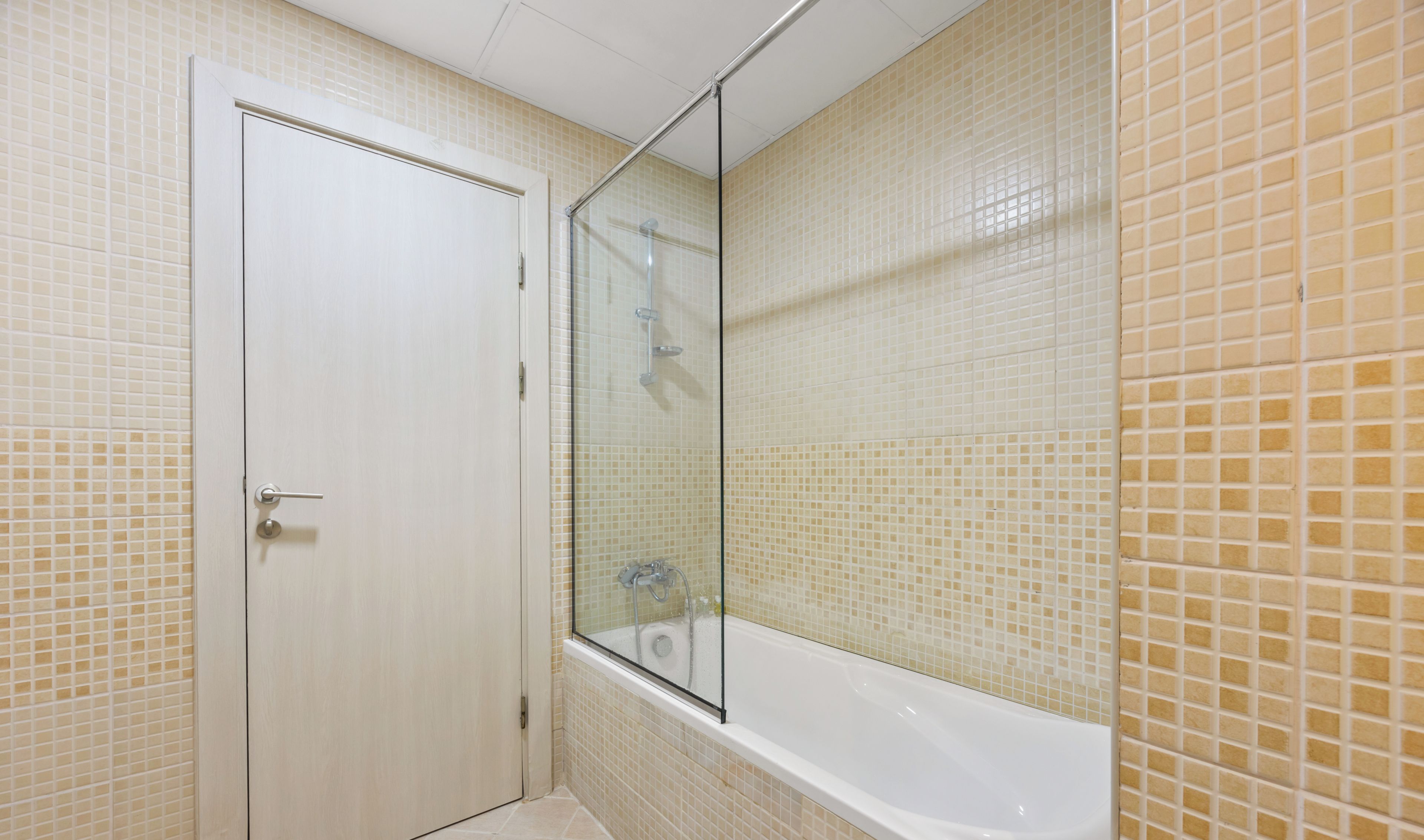 A bathroom with a shower, a bathtub, and a door.