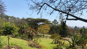 A garden with various plants and a lawn. - Beautiful Round Shaped Cottage - 2094 (Juliasdale)