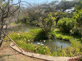 Lago