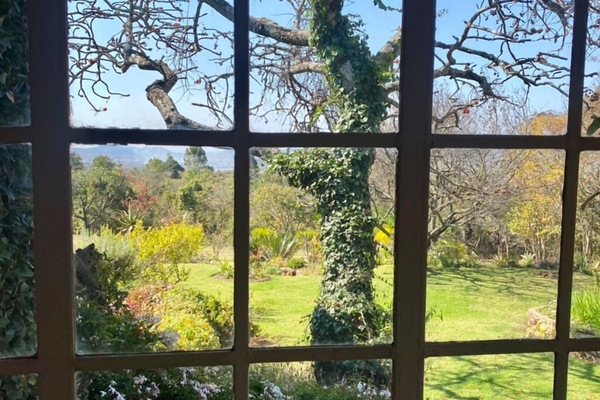 House | Garden view