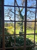 Vista al jardín