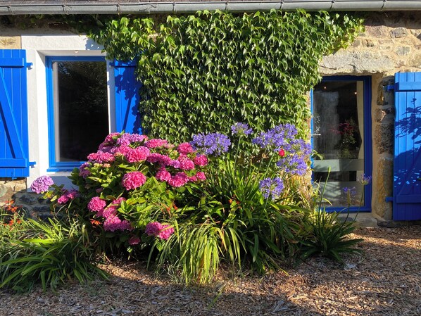 Un bâtiment aux volets bleus, doté d’un mur en pierre et d’un jardin où poussent des fleurs roses et violettes.