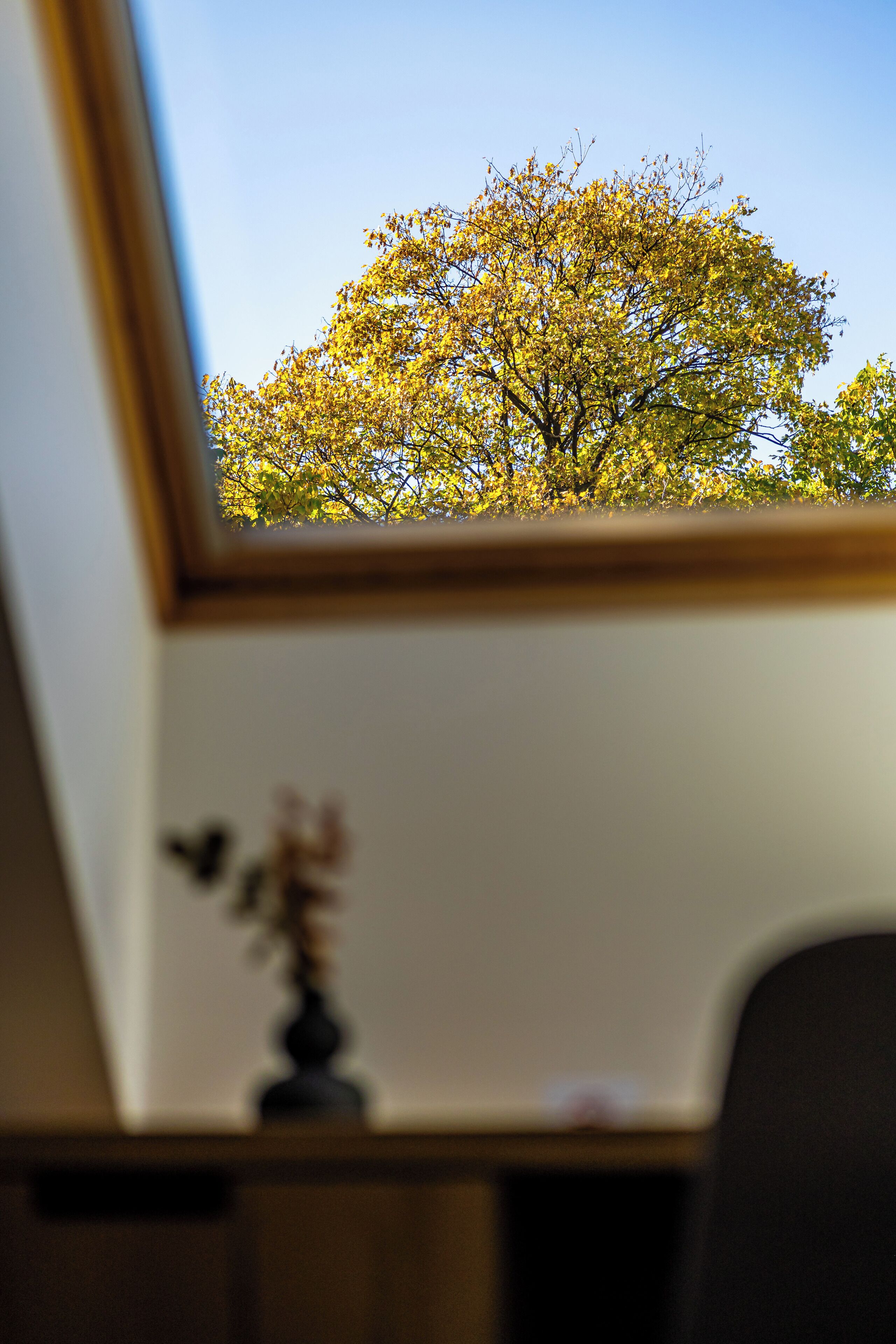 Une pièce avec une fenêtre donnant sur un arbre.