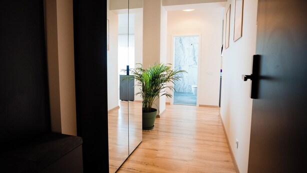 A hallway with wooden flooring, a potted plant, and a door leading to a room with a marble wall. - FLY & STAY AT GEORGE'S (Otopeni)