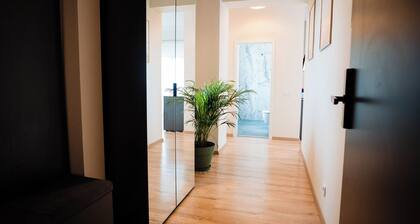 Stay at Georges and Fly