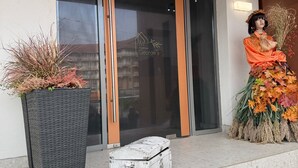 A building entrance with a large potted plant, a suitcase, and a person in traditional attire. - Stay at Georges and Fly (Otopeni)