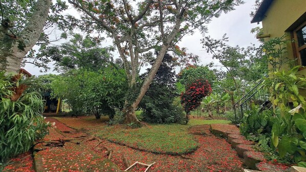 單棟房屋, 3 間臥室, 吸煙房, 露台 | 花園
