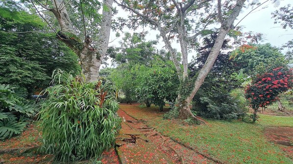 Casa, 3 habitaciones, para fumadores, balcón | Jardín
