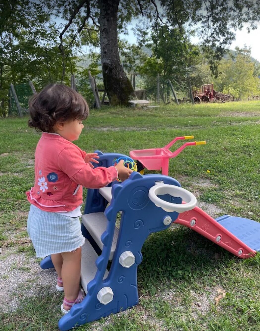 Un bambino gioca con un trattore giocattolo in un'area erbosa all'aperto.