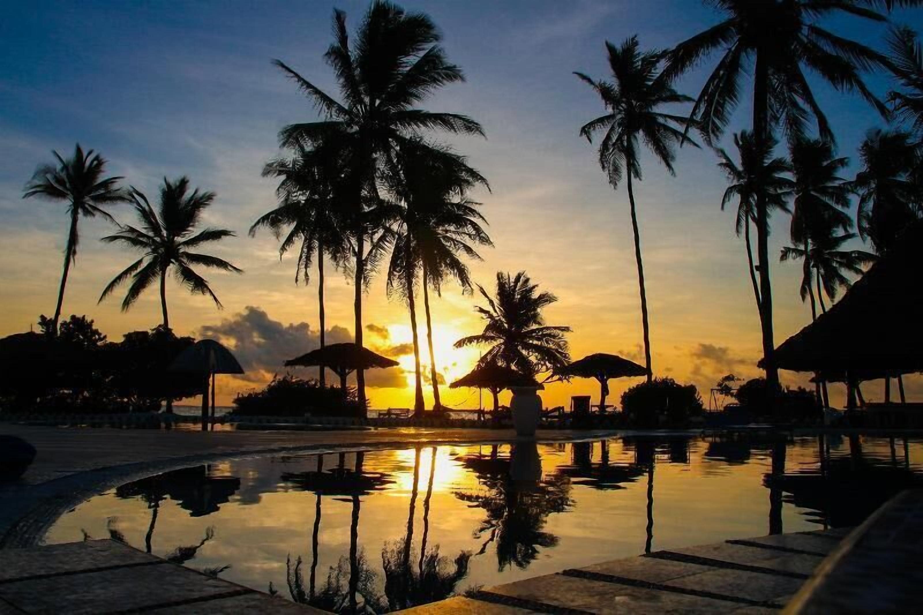 Un coucher de soleil paisible sur une piscine bordée de palmiers et surmontée de parasols en chaume.