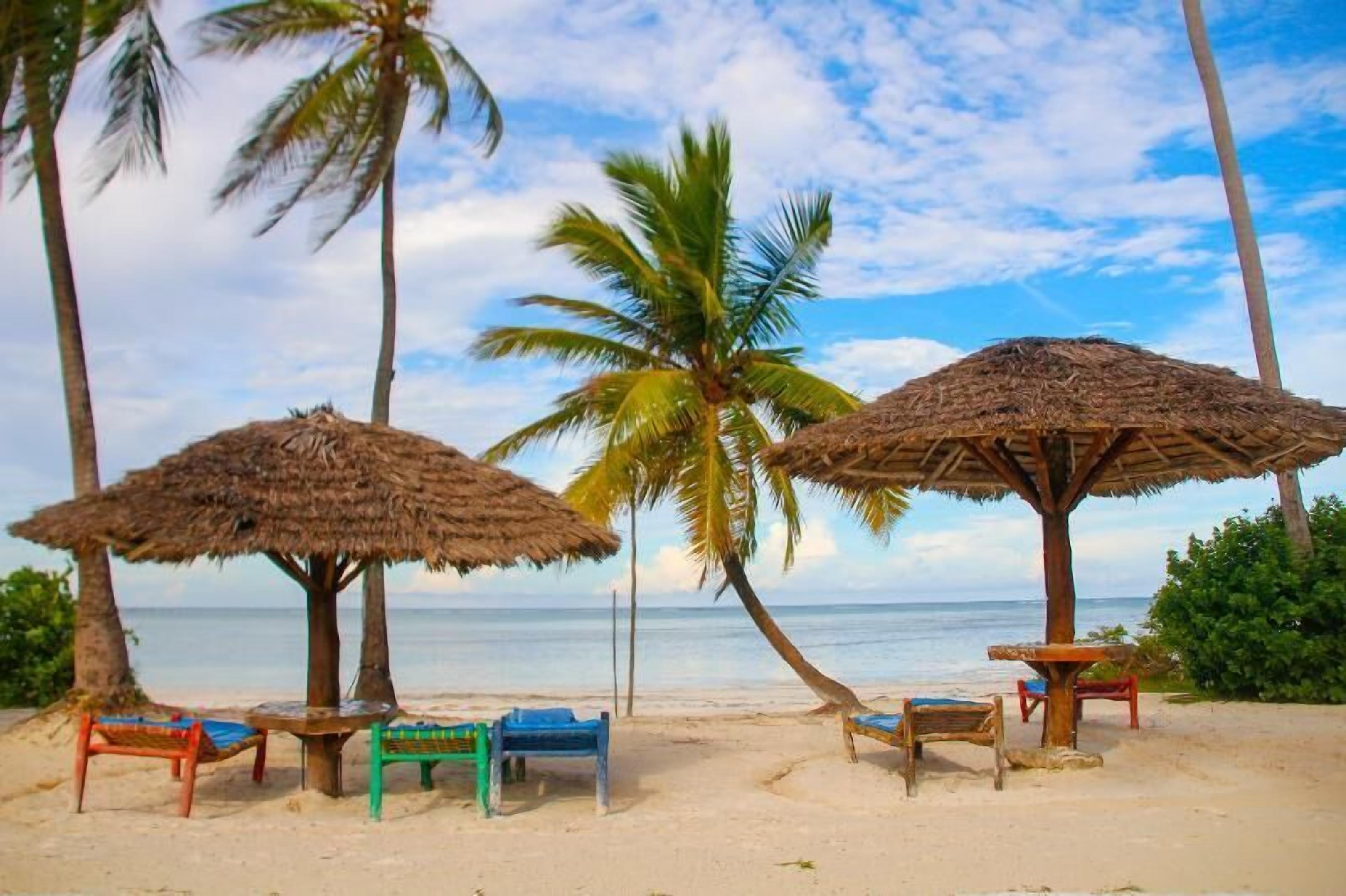 A beach with thatched umbrellas and wooden chairs.