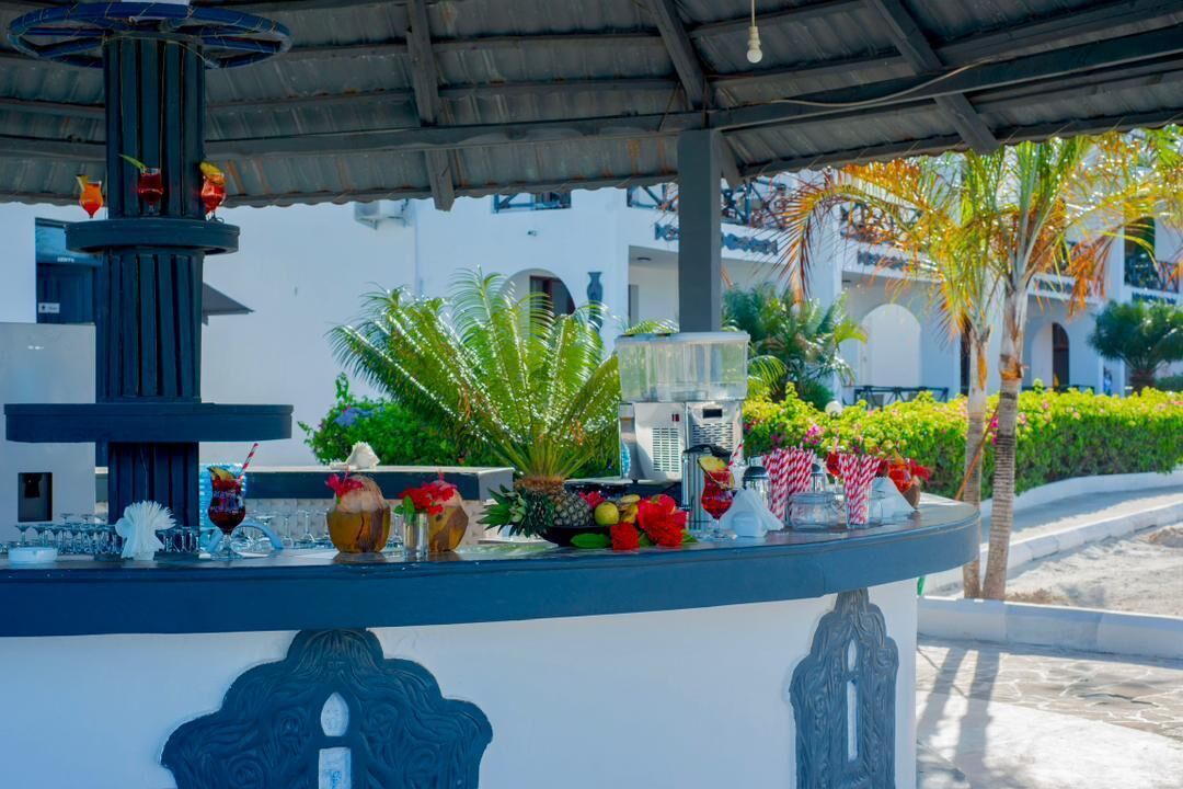 Área externa coberta com uma fonte decorativa, plantas em vasos e um balcão com diversos objetos.