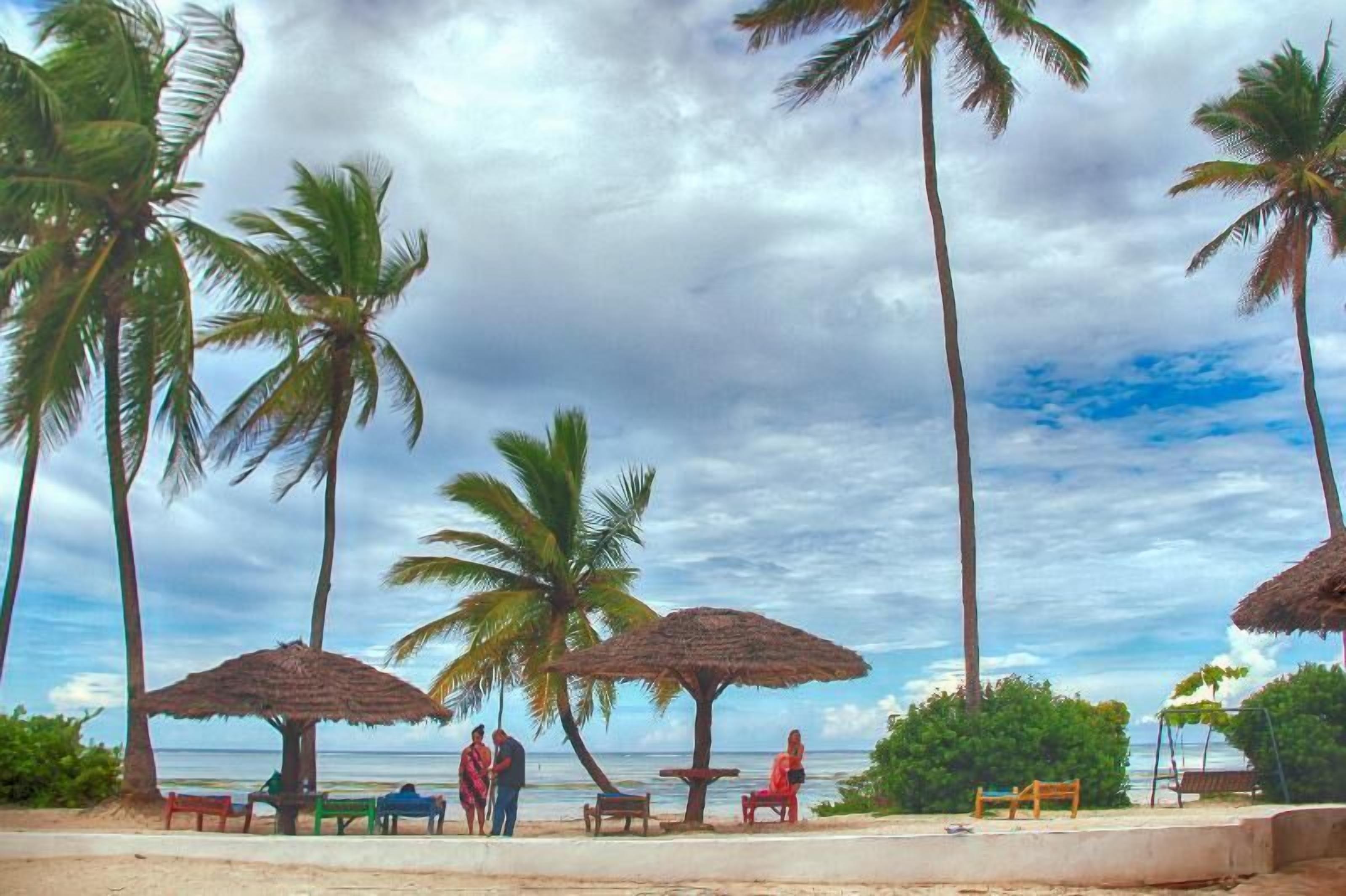 Ein Strand mit Palmen, einer Hütte mit Reetdach und einer Bank.