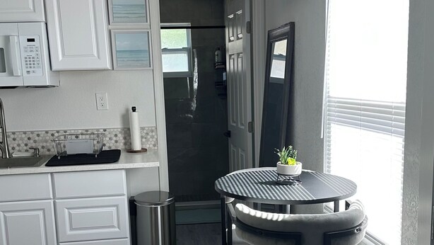 A modern kitchen with white cabinetry, a built-in microwave, and a stainless steel sink. There's a round bar stool with a potted plant beside a window. - Cozy studio in a great location! (Largo)