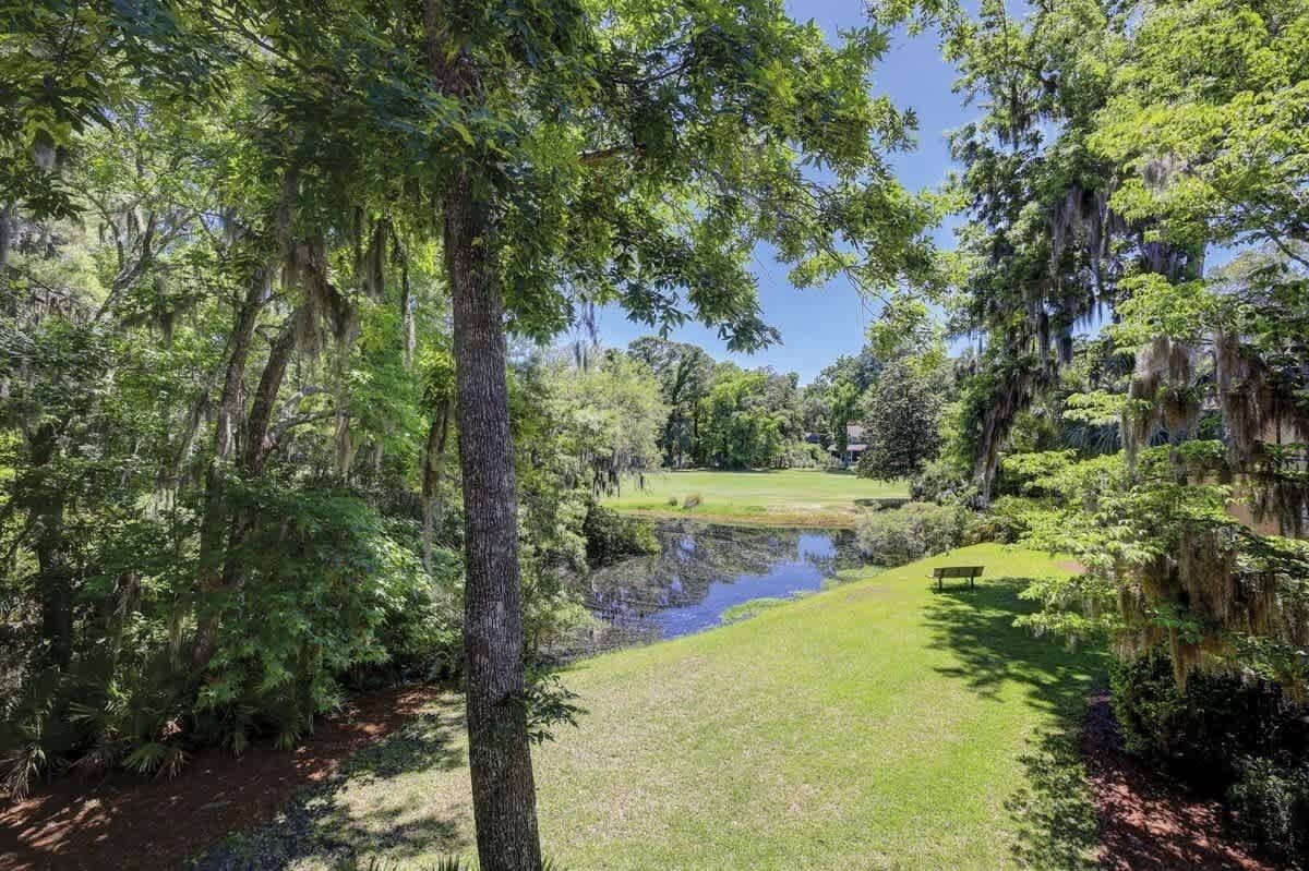 Un paysage verdoyant et luxuriant, avec un étang, des arbres et un banc.
