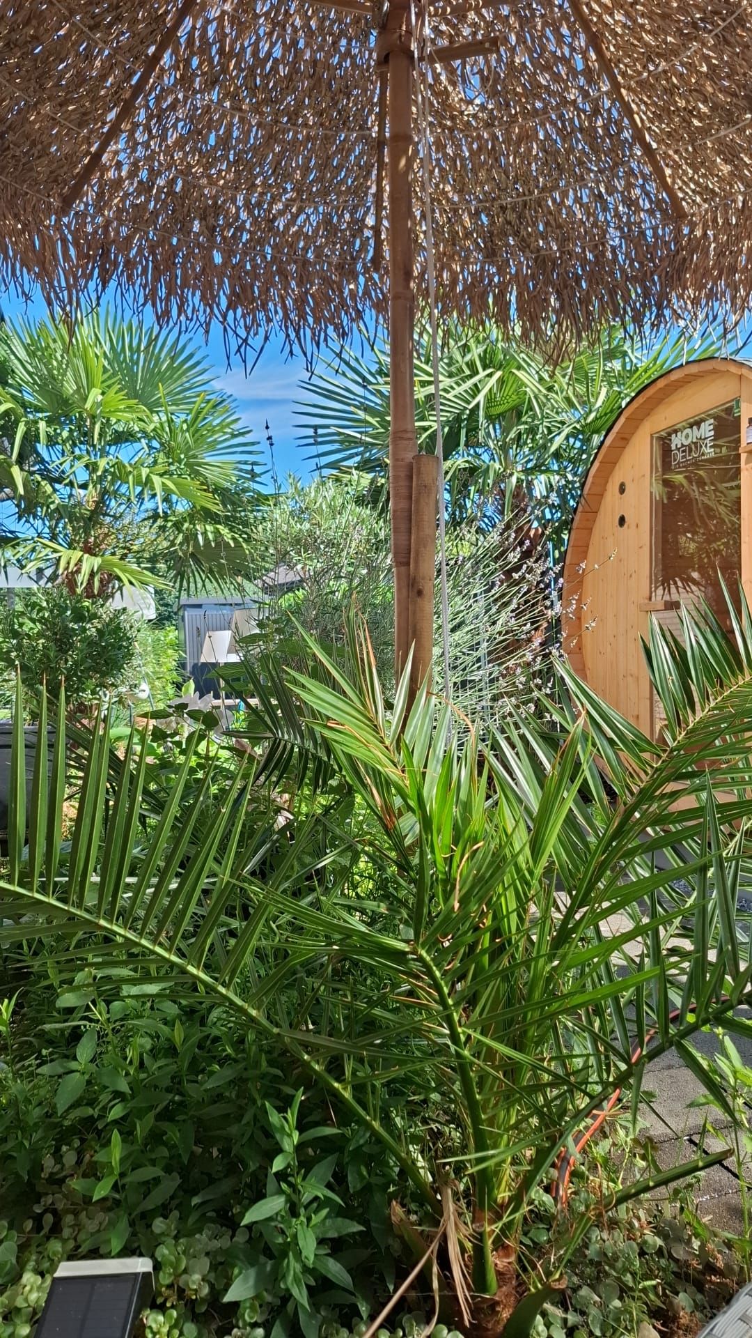A garden with a wooden structure labeled 'HOME DELUXE' and a solar panel.