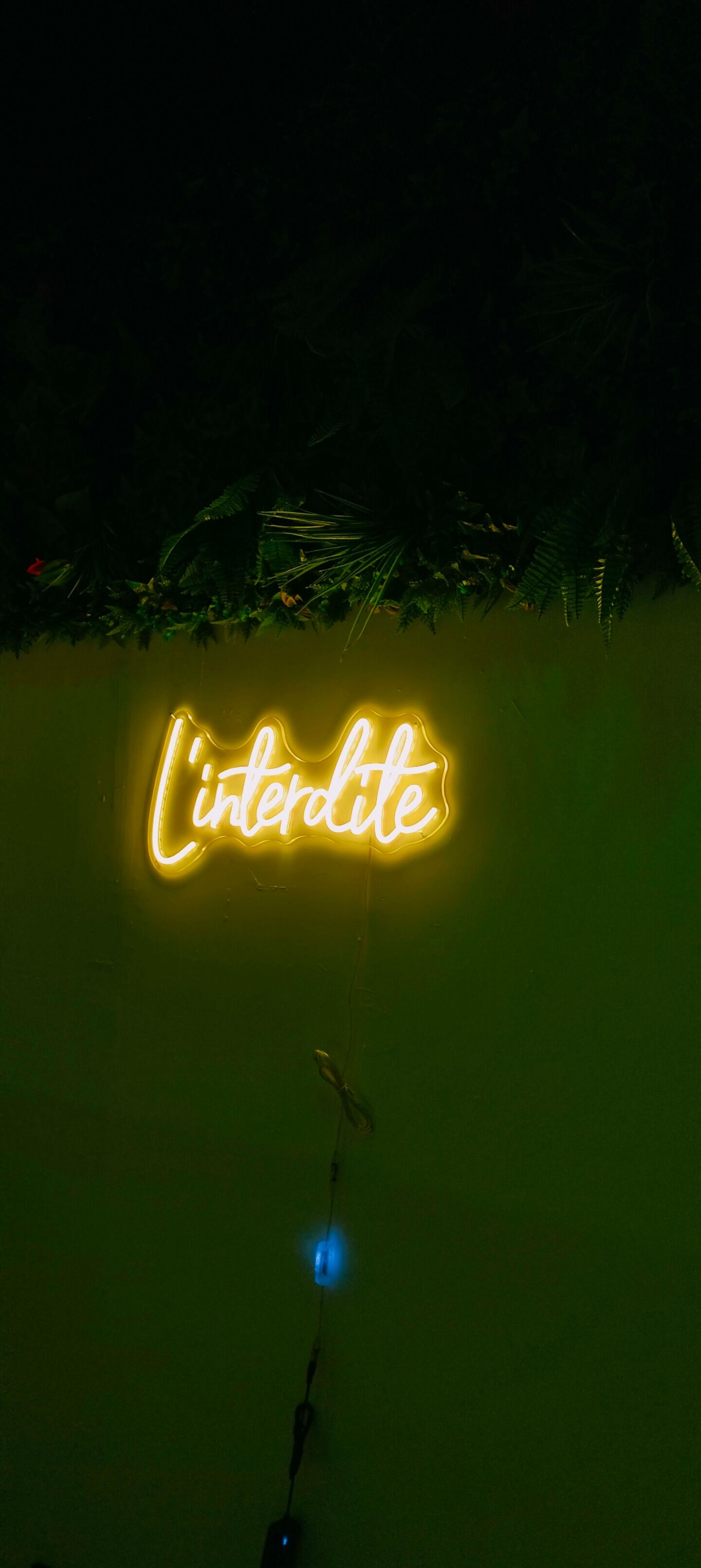 A neon sign with the word "Interdit" in a stylized font.