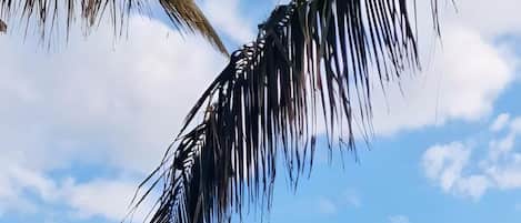 泳池
