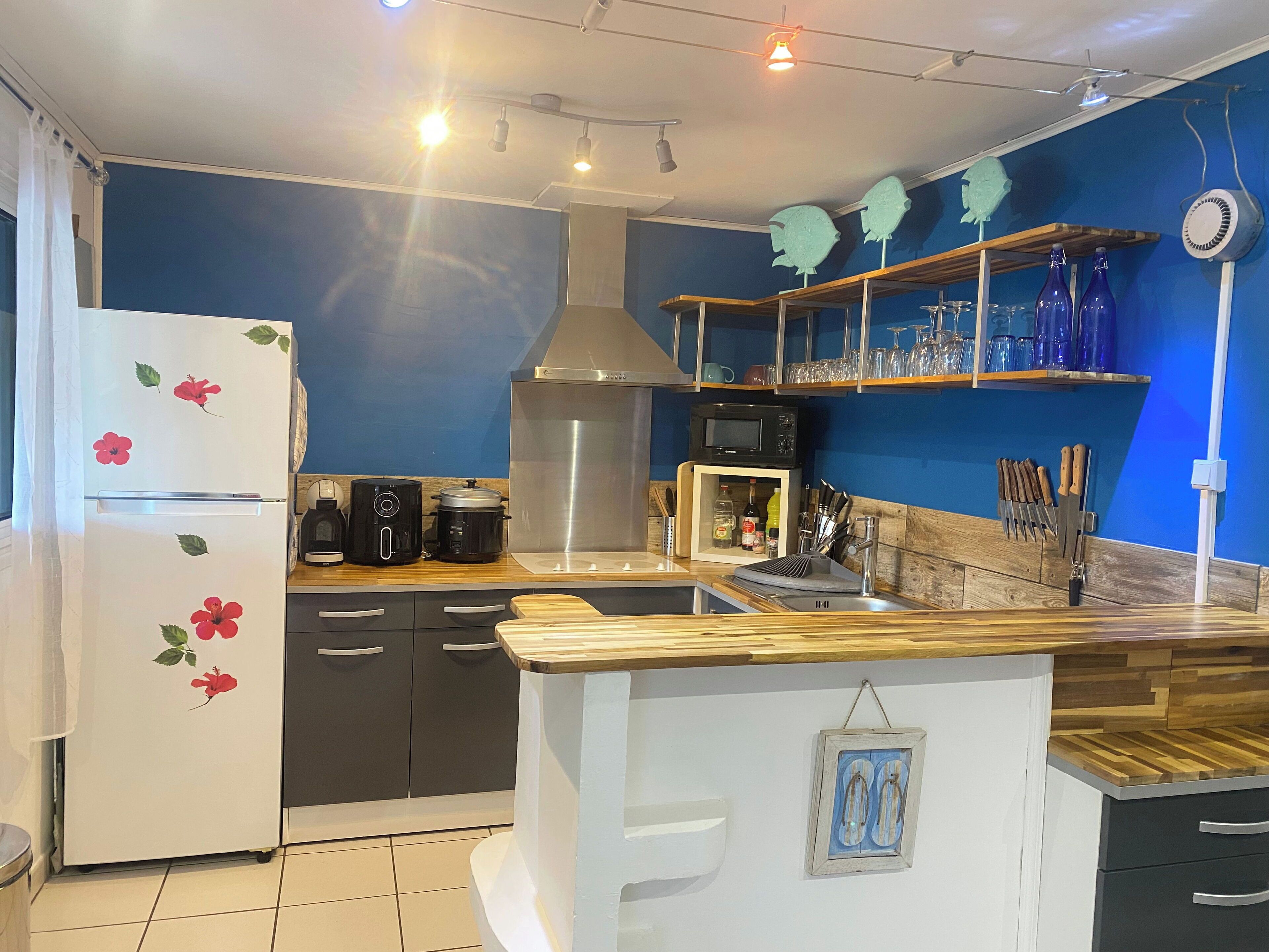 Fridge, oven, dishwasher, coffee/tea maker