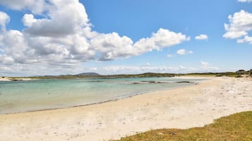 ุดุงุทุฆ