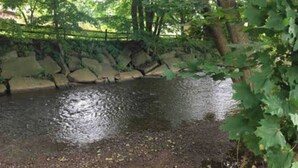 A natural pond with a stone wall and surrounding greenery. - Creekside Loft + Allstar Deluxe (Otego)