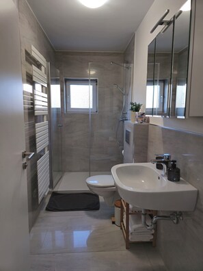Shower, hair dryer, towels, soap - Apartment for 2 in Kottweiler (Kottweiler-Schwanden)