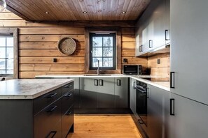 Oven, stovetop, dishwasher
